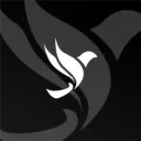 Avela Airways