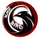 Black Bird Inc [BBI]