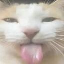Los Papayucalovers Discord Server Icon