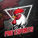 PAÜ ESPORTS