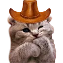 Meowdy's Wild West