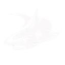 Shark Development Discord Server Icon