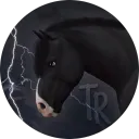 ,,𝘁𝗵𝘂𝗻𝗱𝗲𝗿 𝗿𝘂𝘀𝗵 𝗼𝘀