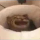 ae