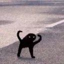 𝓣𝓱𝓮 𝓫𝓻𝓮𝓪𝓭 𝓬𝓾𝓵𝓽