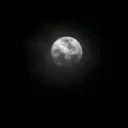🌙 M I D N I G H T 🌙