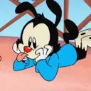 Wakko = Cute