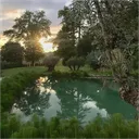 Swan’s Lagoon