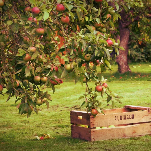 🍁Green Hell🌾 — мониторинг Discord сервера, статистика и рейтинг