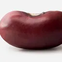 BEAN