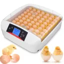 The Incubator