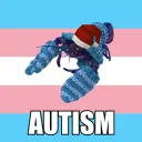 Sus Calamum