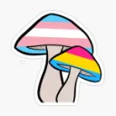 ShroomDiscord