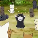 G8 Pussies