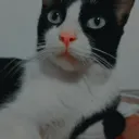 𝙎𝙚𝙗 𝙎𝙚𝙧𝙫𝙚𝙧