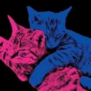 𝐒𝐭𝐚𝐫𝐥𝐢𝐠𝐡𝐭 ★