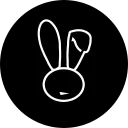 Tuterabbit K-Pop