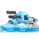 Arctic Gaming