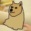 🐶Buda Piesełów Klifa🐶