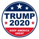 Trump Election