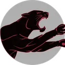 FastCat Servers