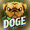 Doge's Nation