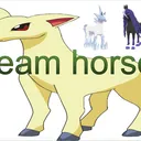 team horse