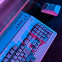Nerdy Palace 18+