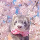 SolecitoLand 🌷