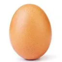 EggNut's Kitchen