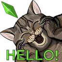 cjhilljack's server