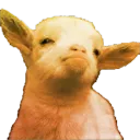 Rebel's Community Server's icon