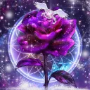 Luna Rose's Server