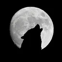the wolf's den