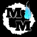 The MegaMatch Server