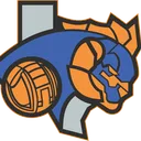 Austin Brawlers