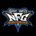 Non Fungible Gamers | RDG