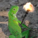 Laughing Lizard