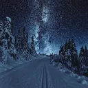 Snow and Midnight's Wonderland