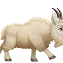 Goat Gang 🐐