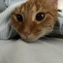 로로 & 루루 🐈