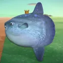 たこぶえのサーバー