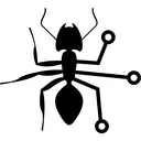 The Zokya Colony