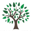 Origin of Wisdom
