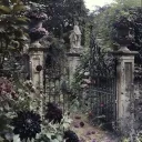 LimeLight Discord Server Icon