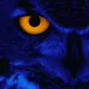 Osi's Owls Den