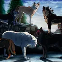 The Wolves 🐺Tavern