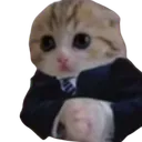 Kedu Gang