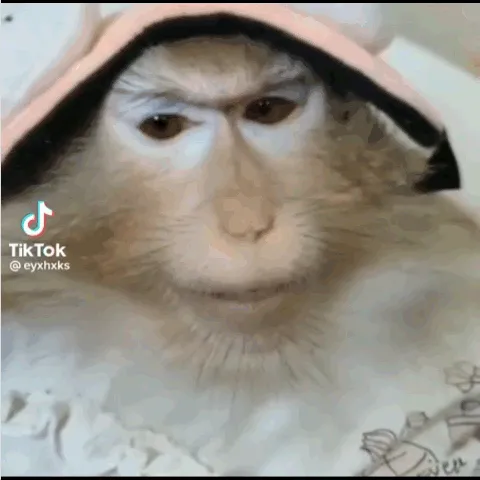 FURIOUS TM COMMUNITY | GO 800?π β ΠΌΠΎΠ½ΠΈΡΠΎΡΠΈΠ½Π³ Discord ΡΠ΅ΡΠ²Π΅ΡΠ°, ΡΡΠ°ΡΠΈΡΡΠΈΠΊΠ° ΠΈ ΡΠ΅ΠΉΡΠΈΠ½Π³