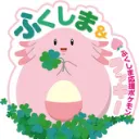 Fukushima JETs